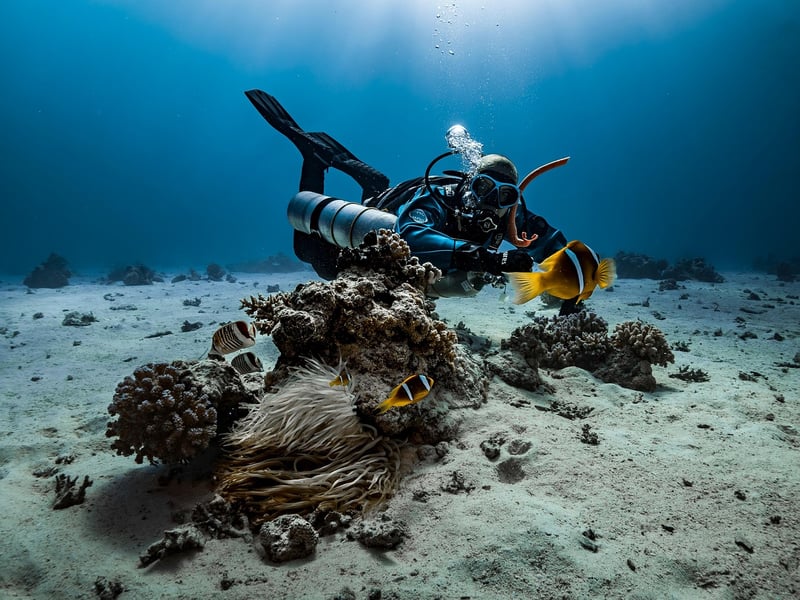 Marine Life